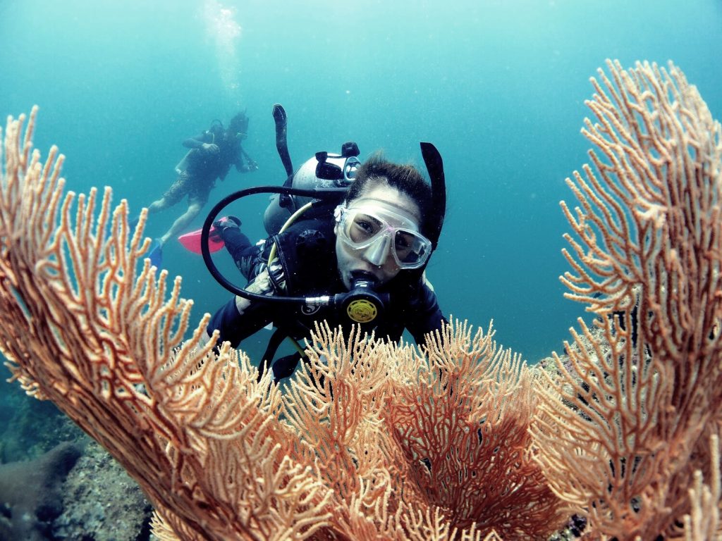 Laws, Political Science, WU, นิติศาสตร์, รัฐประศาสนศาสตร์, รัฐศาสตร์, วลัยลักษณ์