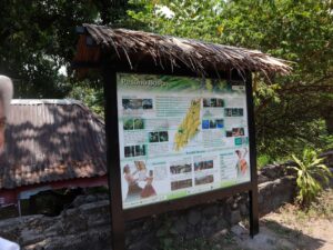 Summer Course Lombok Day 3-4